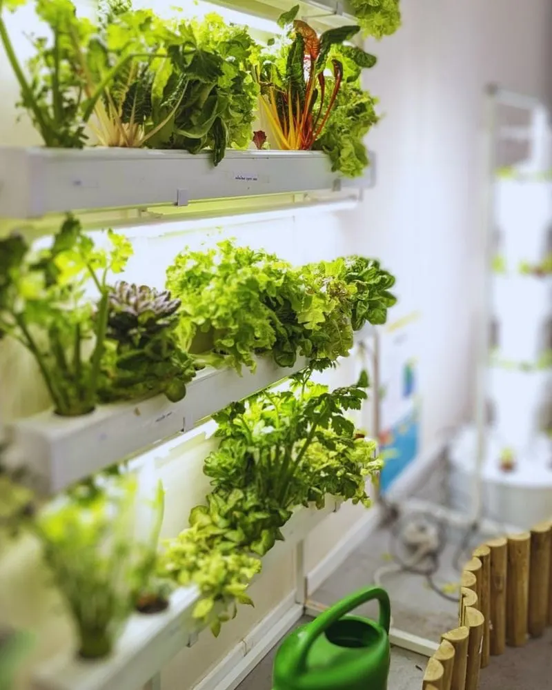 Hydroponic Systems