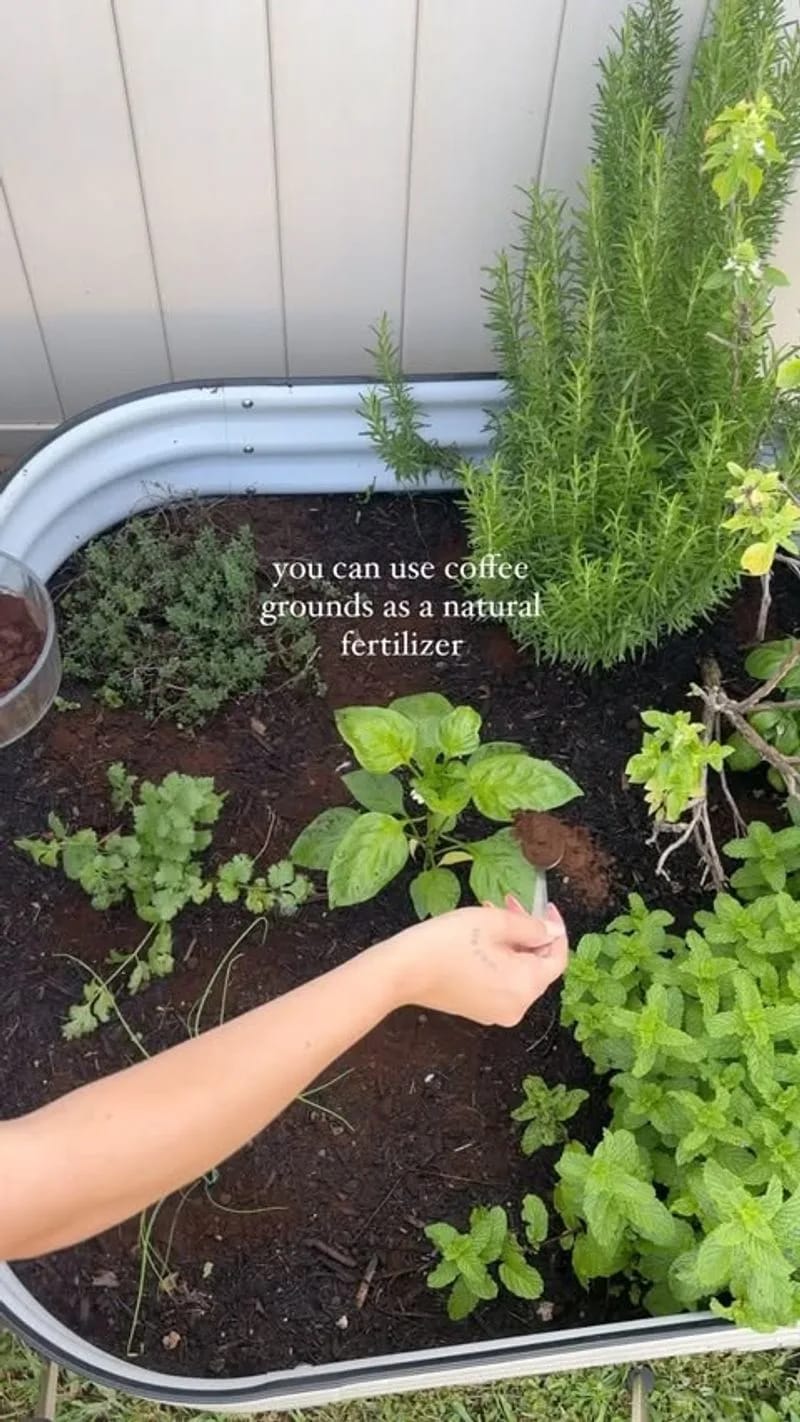 Coffee Grounds Enrichment