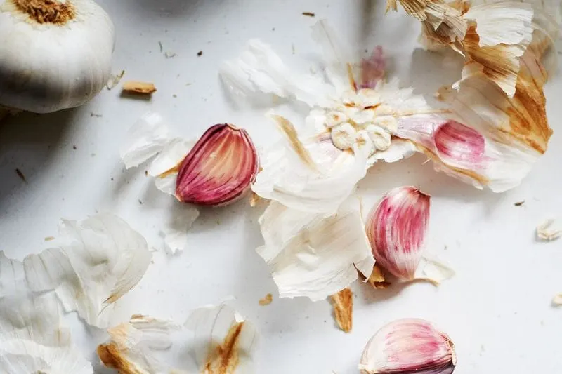 Onion and Garlic Scraps